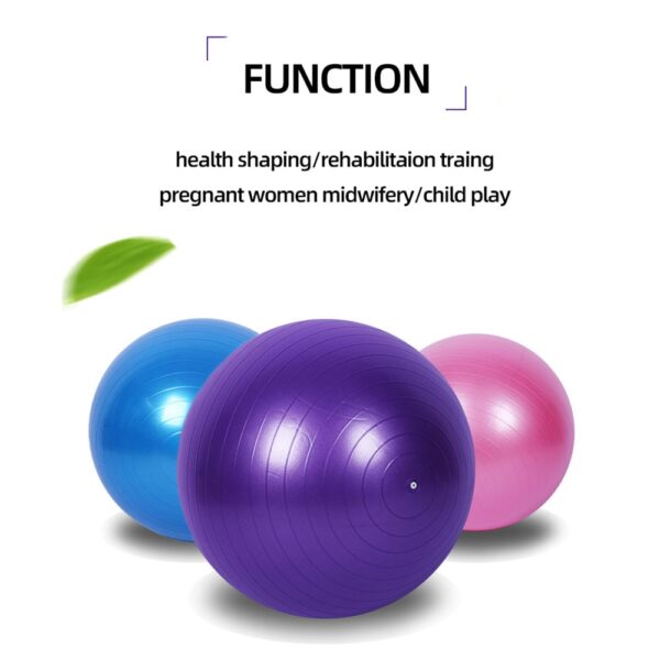 DynaBall Pro Yoga Ball - Pro-Grade Exercise Ball - Image 2